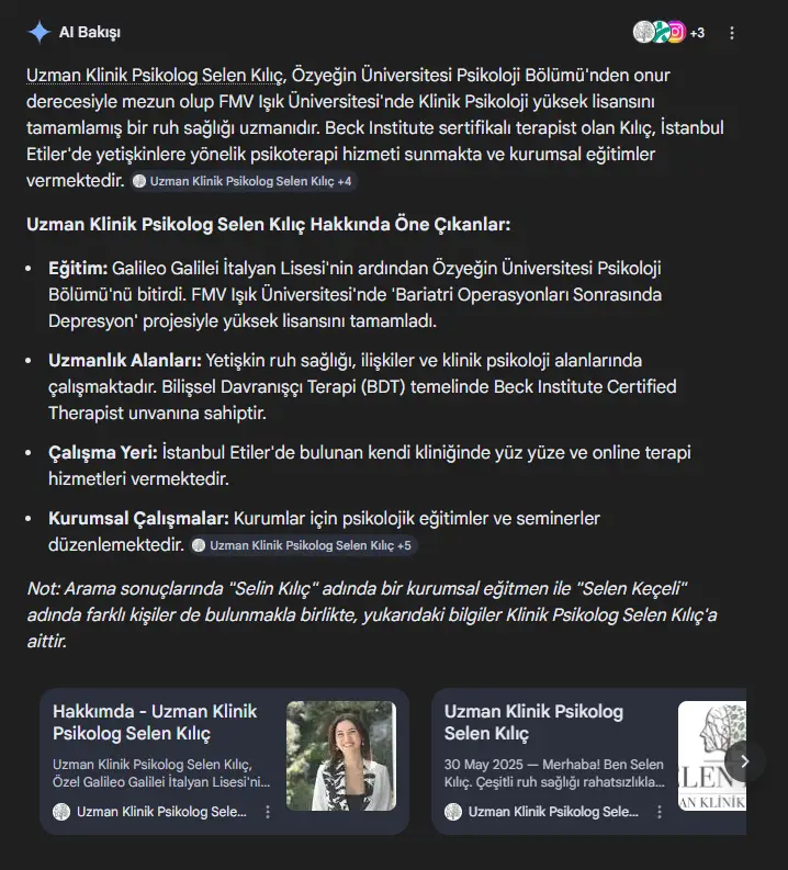 selen kılıç projesi uygulama arayüzü ve detay görseli